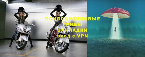 сатива Балабаново