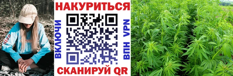 Шишки марихуана гибрид  hydra маркетплейс  Кудрово 